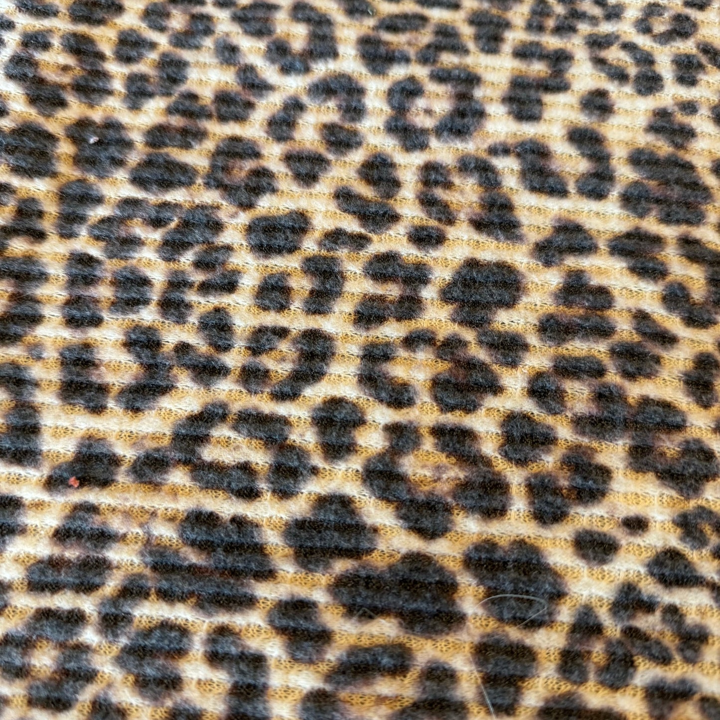 Leopard Waffle